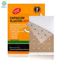 Tiger Capsicum Plaster Capsicum Plaster-Hot