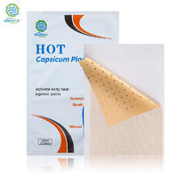 HOT Capsicum Plaster Capsicum Patch