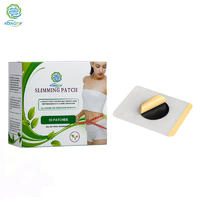 Easy Fit Slimming Patch Slim Patch