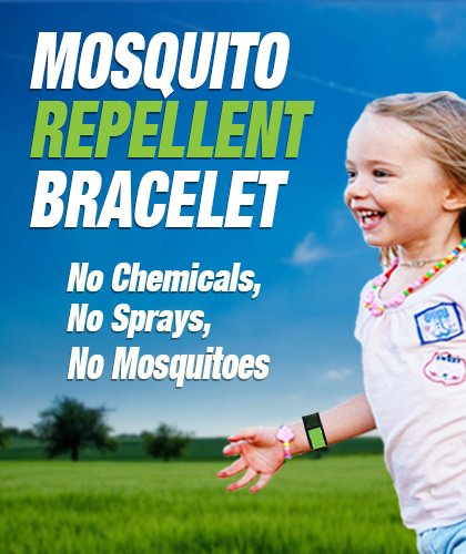 Mosquito repellent bracelet